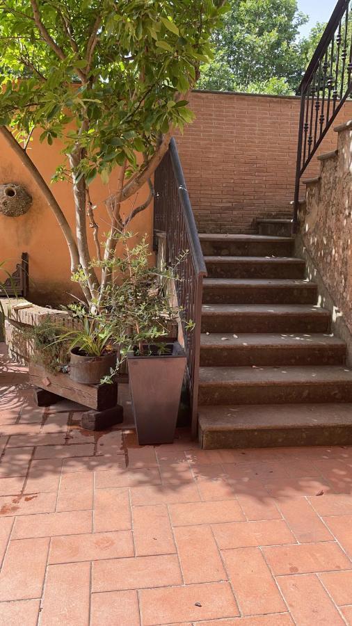 Villa Mariposa Nettuno Exterior foto